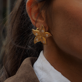 Luna - Boucles d'oreilles étoile de mer strass plaqué or 18 carats